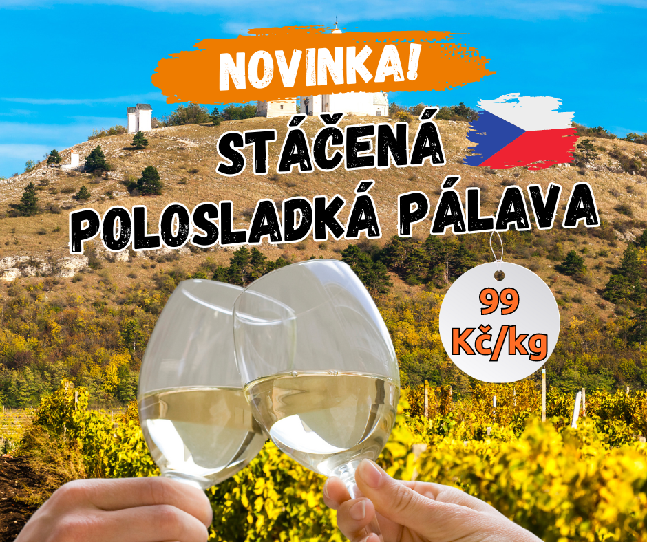 Novinka ve vinotéce Terno: Polosladká Pálava za 99 Kč! 🍷✨