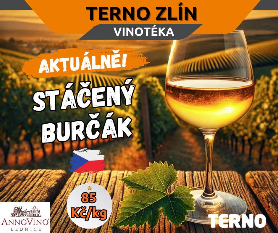 🍇 Připravte se na jedinečný zážitek s burčákem! 🍷